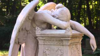 Watch Michelle Belanger Angels Are Weeping video