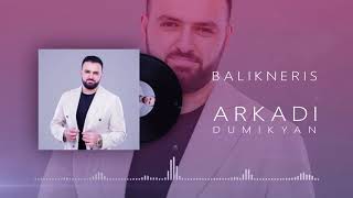 Arkadi Dumikyan - Balikneris