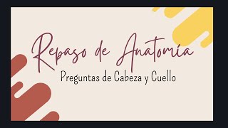 Repaso De Anatomia Cabeza Y Cuello