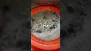Our Mud Crab Filtration System