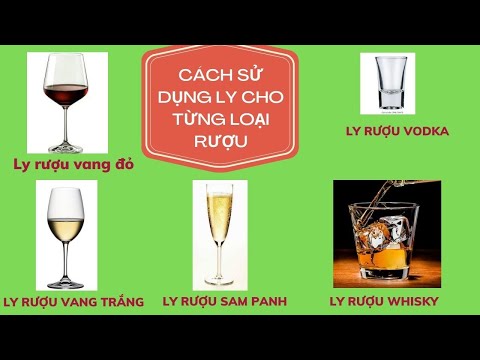 Cách sử dụng đúng từng loại ly cho từng loại rượu