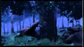 Alpha and Omega, Rain Dance