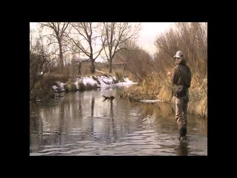 Fly Fishing for Carp (On a Winter Day)