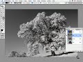 VTC Photoshop Tutorial - Using What is There