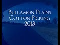 Bullamon Plains Cotton 2013 YT