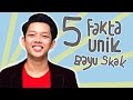 5 FAKTA UNIK BAYU SKAK