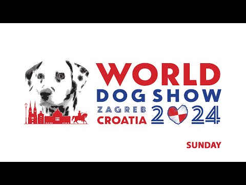 WDS 2024 ZAGREB - Sunday