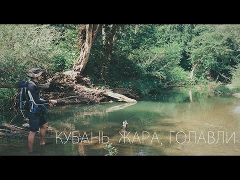 на что можно ловить на реке кубань на что можно ловить на реке кубань