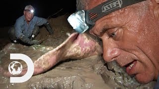 Jeremy Almost Falls Into The Water Trying To Catch A Gigantic Stingray | River Monsters