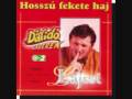 Lagzi Lajcsi aka Darido sings  'Hosszu Fekete Haj' ( Long Black Hair )