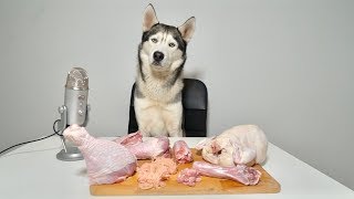 Asmr Husky Reviewing Raw Turkey Meat Parts