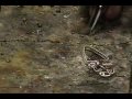 Filigree Soldering Demo Part 3
