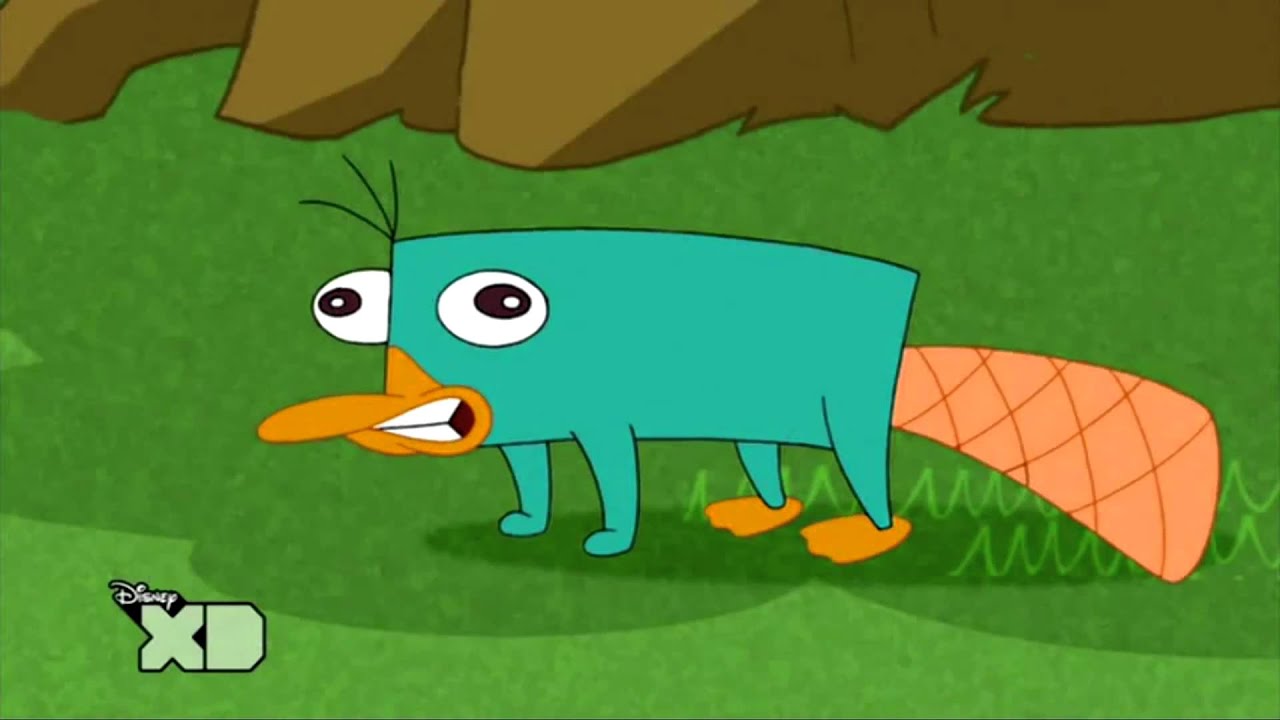 Perry the platypus sound (NL) (Link In Description) - YouTube