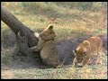 مستند زمینیان - با زیرنویس فارسی - 1