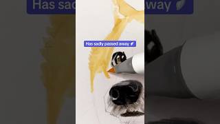 I Cant Believe Doge Is Gone My Drawing Tribute To Kabosu.