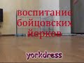 Щенки йоркширского терьера. Питомник Мон 