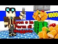 LYON E LA FARM DI NUGGETS. (FUNNYVIDEOPARODY) EP1