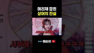 머리채 잡힌 상어의 진실