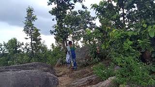 Jangal Mein Mangal New Video