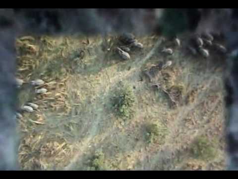 GOOGLE EARTH Mystery Secret UFO Hidden Places PART 1