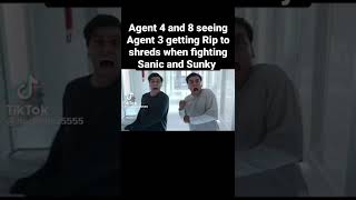 Sanic And Sunky Solos