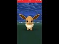 【ポケモンGO】イーブイだらけのコミュニティデイ!【Pokémon GO】