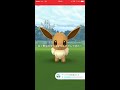 【ポケモンGO】イーブイだらけのコミュニティデイ!【Pokémon GO】