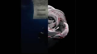 In The Back Of My Mind Wildflowers,Romantic Homicide Billie Eilish, D4Vd, Jr S