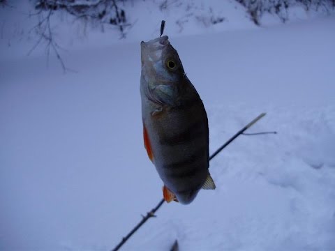 Зимняя мушка своими руками Зимняя мушка своими руками