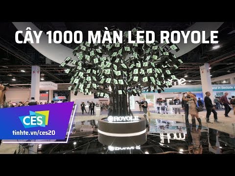 Trên tay cây 1000 chiếc " Lá" màn hình LED Royole