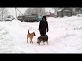 Video Виликий Враг Фильм. Video Виликий Враг Фильм.