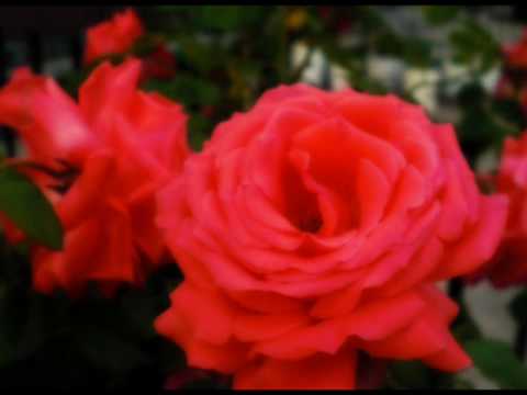 Judaai Judaai (Full Song)