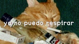 Puchito - Lázaro Suplika Dop Letra