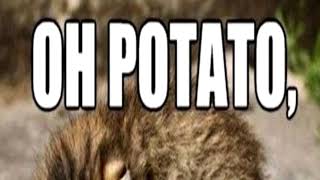 Oh Potato