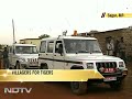 Save the Tiger Campaign: Villagers for Tigers