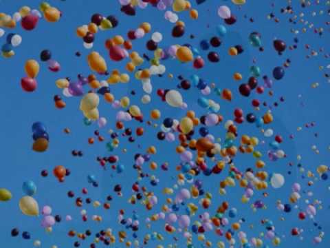 The best of everything Video