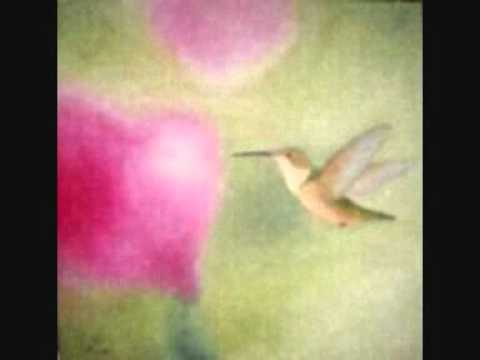 Ranker Video