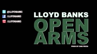 Watch Lloyd Banks Open Arms video