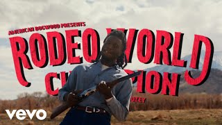 Watch Shaboozey Rodeo World Champion video