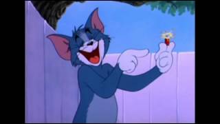 Tom And Jerry Modablaj Maroc