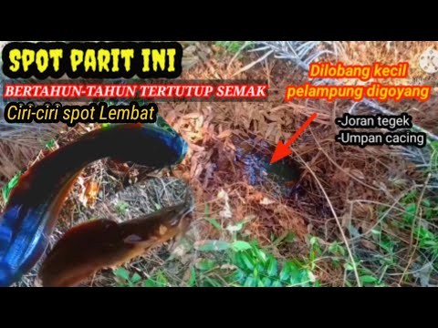 Lembat Suka Tempat Seperti ini.. "Mancing lele lembat"