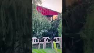 Şeyh Muhammed Mütevekkil Haznevi Ks