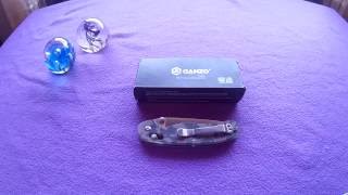 Ganzo G743-1Bk Deep Carry Clip