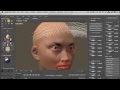 Poser 10 - Poser Pro 2014 Tutorial | Hair Groups And Styling