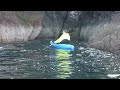 St Abbs Head by Tootega Sector and Pulse kayaks