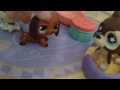 LPS Happy Families Part 2 (Secret Sleepover) #4 LPS Happy Families Part 2 (Secret Sleepover) #4