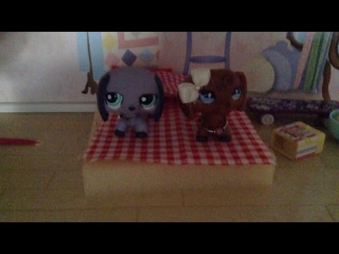 LPS Happy Families Part 2 (Secret Sleepover) LPS Happy Families Part 2 (Secret Sleepover) #1