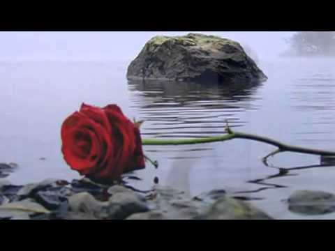 Tujhse Bichar Kar Zinda Hain Jaan BohotNOMI BUTTB_C_N _671471648...