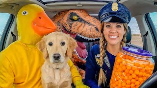 Police Steals Puppy from Rubber Ducky in Car Ride Chase!