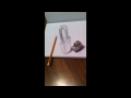 3d anamorphic drawing 2 (with tutorial)